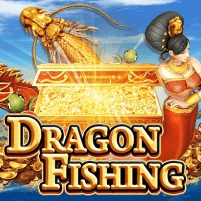 Câu Cá Rồng OK8